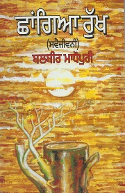 ShangiaRukh2